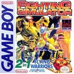 Fighting Simulator 2in1 - Flying Warriors (U)